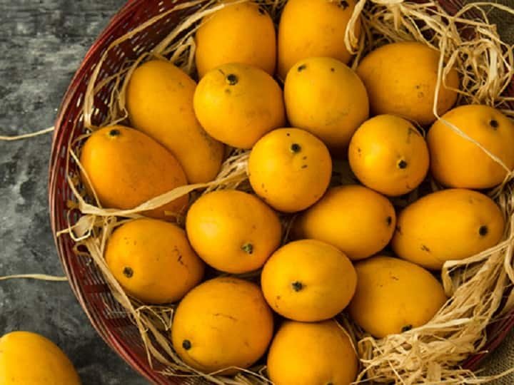  आंबा बागायतदारांना व्याजमाफीपोटी ३ कोटी ३५ लाखांची आवश्यकता