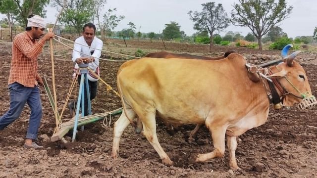 मान्सून खोळंबला; पेरण्या रखडल्या