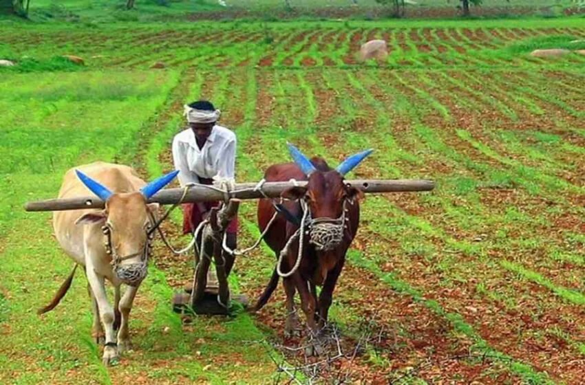जिल्ह्यातील १३ हजार शेतकऱ्यांच्या खात्यात 40 कोटी जमा