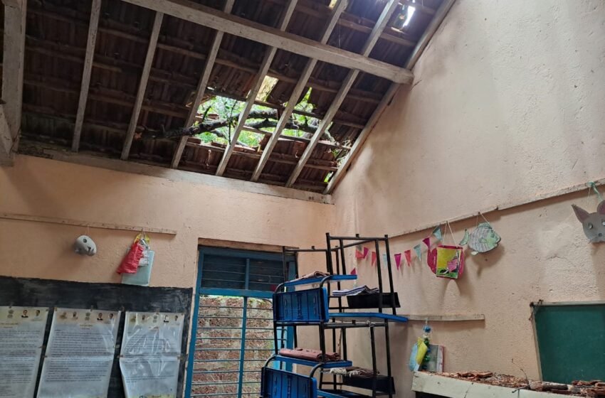 शिरगाव आडी येथे शाळेवर झाड पडल्याने एक विद्यार्थी किरकोळ जखमी