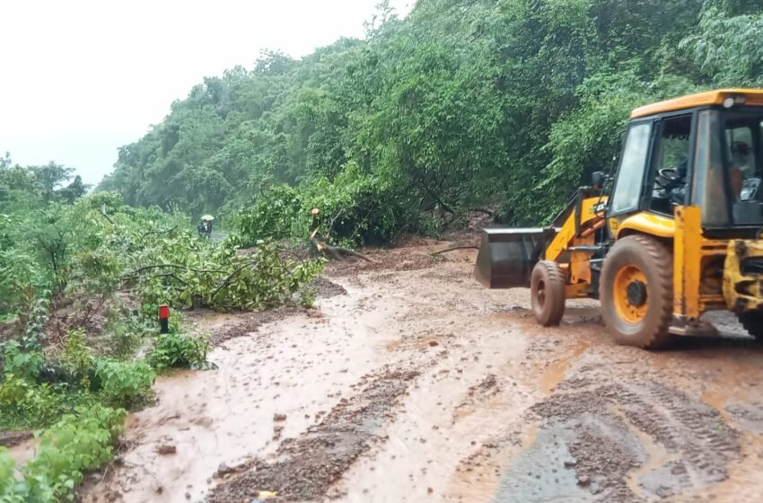  कुंभार्ली घाटासह परशुराम घाटातील दरड कोसळून वाहतूक विस्कळीत