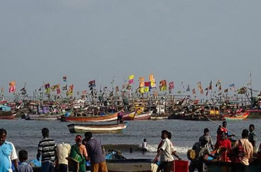 जिल्ह्यातील बंदर विकासासाठी ३७० कोटी मंजूर