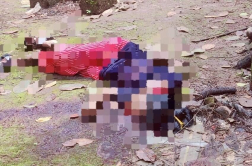 पत्नीच्या मानेवर कोयत्याने सपासप वार करून केली हत्या