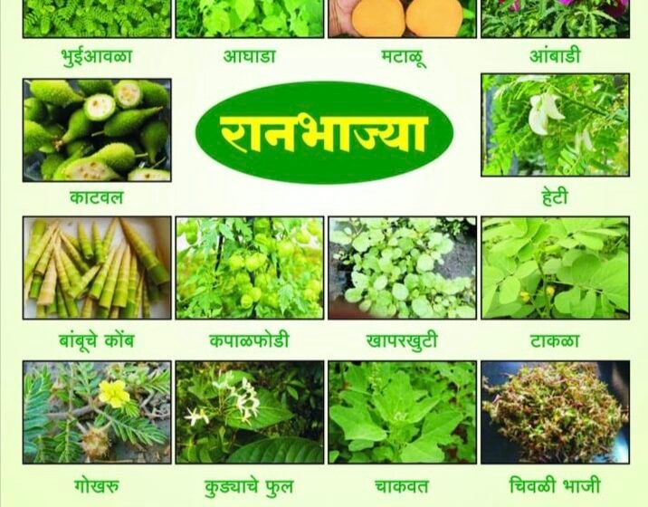 महिला बचत गटांसाठी शुक्रवारी रानभाजी महोत्सव
