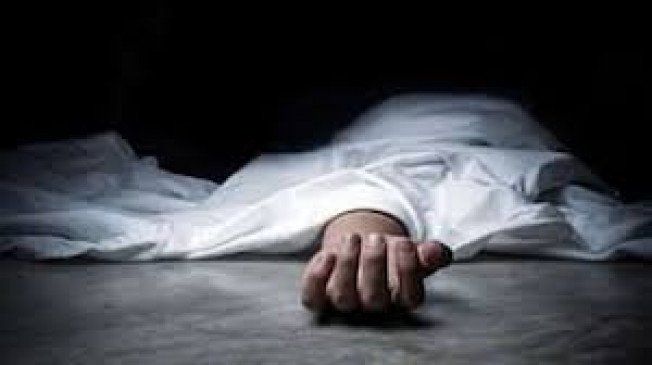 शासकीय कामासाठी वेल्ये गावात गेलेल्या कर्मचार्याचा मृत्यू