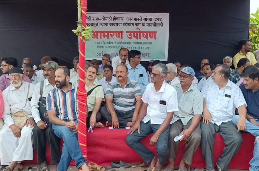 वानर-माकडांच्या बंदोबस्तासाठी अविनाश काळे यांचे आमरण उपोषण सुरु