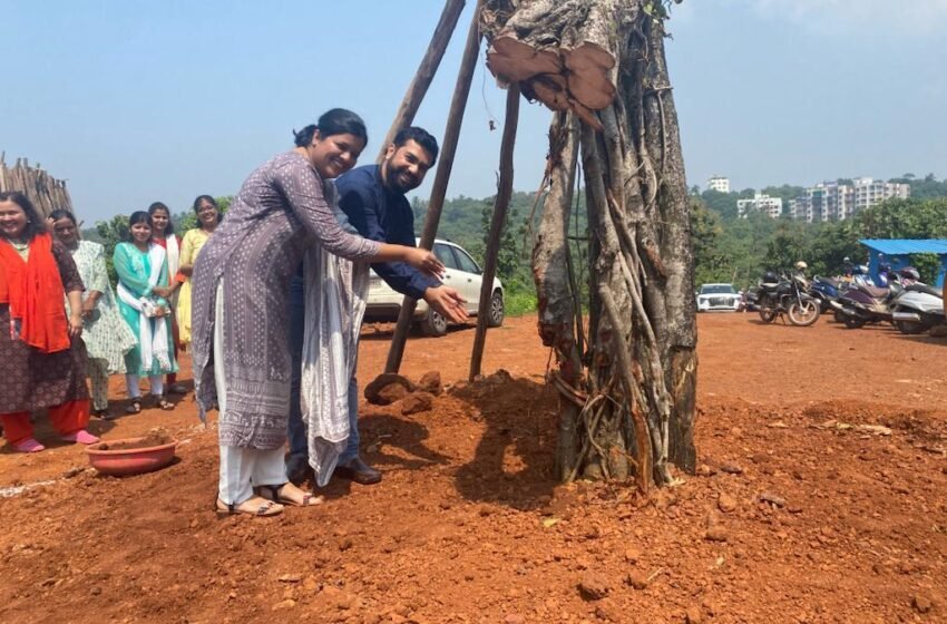 रस्ता रुंदीकरणात तोडण्यात आलेल्या वृक्षाचे पुनर्रोपण