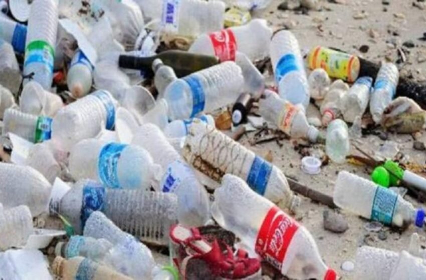 धडक कारवाईत ११० किलो प्लास्टिक जप्त