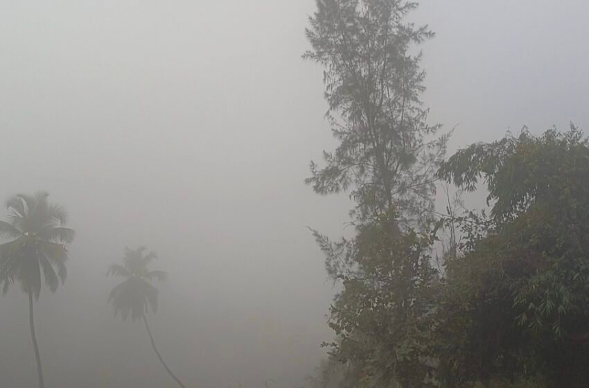 उत्तरेतील थंड वार्यांनी जिल्हावासीय गारठले