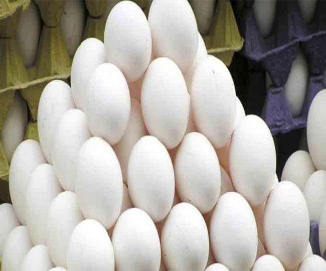  विद्यार्थ्यांना देण्यात येणाऱ्या अंड्याच्या तफावतीची रक्कम मिळणार.