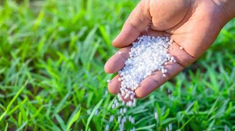 बोगस बियाणे वाटप झाल्यास तत्काळ गुन्हे दाखल करणार