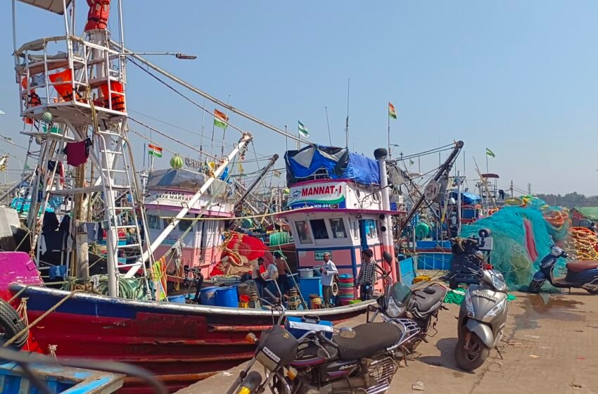डिझेल परताव्याचे ४६ कोटी नौका मालकांच्या खात्यात वर्ग