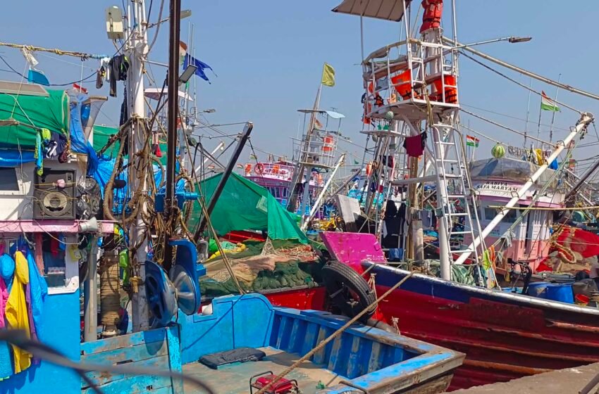 बेकायदा मच्छीमारी प्रकरणी एका नौकेवर कारवाई
