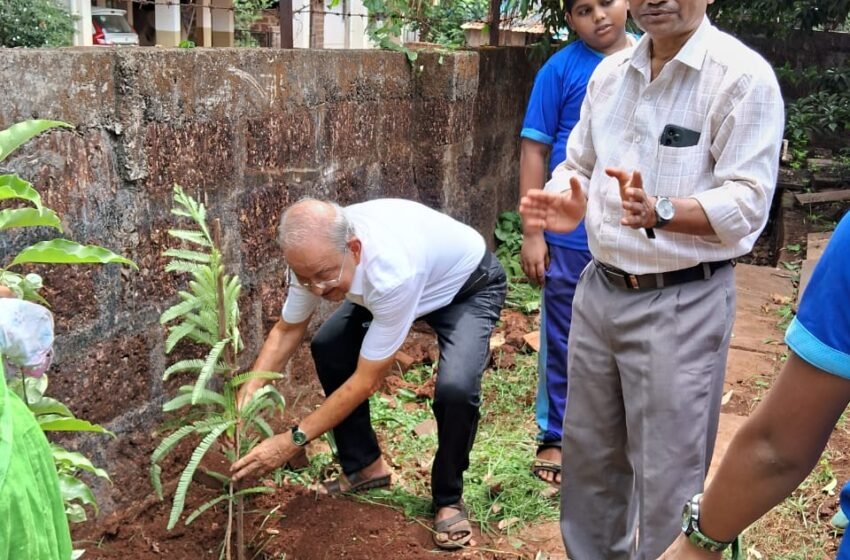 जागतिक पर्यावरण दिनानिमित्त संजीवन गुरुकुलच्या बागेमध्ये वृक्षारोपण