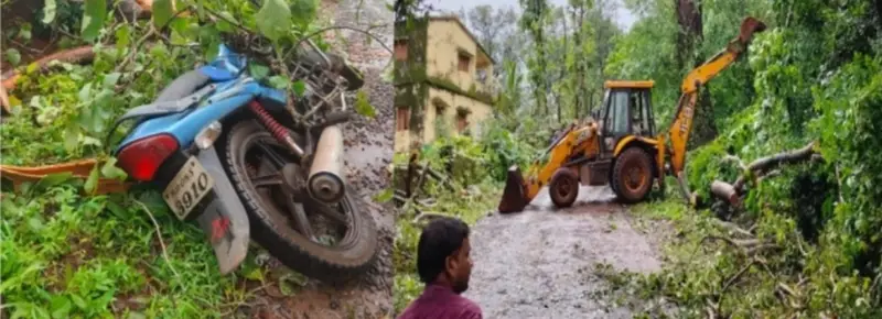 झाड अंगावर पडून प्रौढाचा मृत्यू