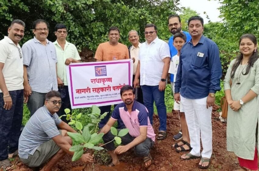 राधाकृष्ण पतसंस्थेच्या वतीने वृक्षारोपण उपक्रम संपन्न