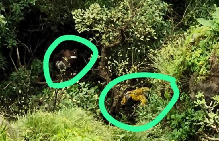 आंबा घाटातील दोन मृतदेह काढण्यासाठी रेस्क्यू ऑपरेशन पुन्हा सुरु
