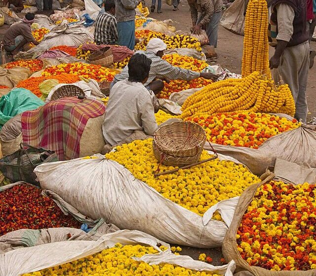 बाप्पा पावला! रत्नागिरीत फुल विक्रीतून लाखोंची उलाढाल
