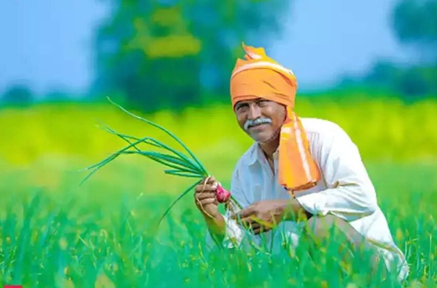 चिपळुणात १८०० अर्ज झाले बाद