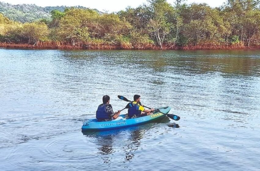 नाचणेतील कांदळवन सफरला पर्यटकांचा प्रतिसाद