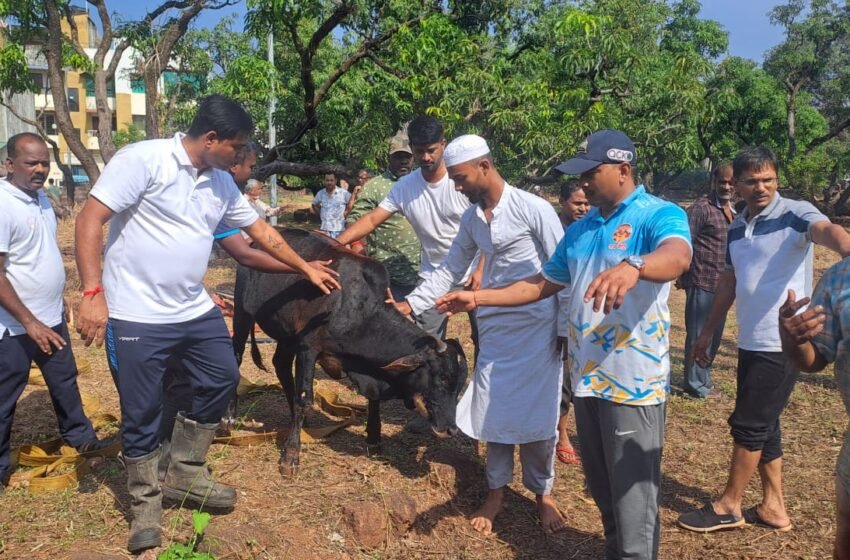 बाष्टे कंपाऊंड येथे विहिरीत पडलेल्या पाड्याला जीवदान