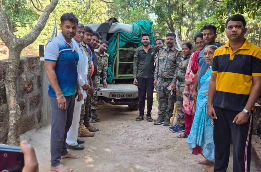 गावडे आंबेरे पाटीलवाडी येथे विहिरीत पडलेल्या बिबट्याला बाहेर काढण्यात यश