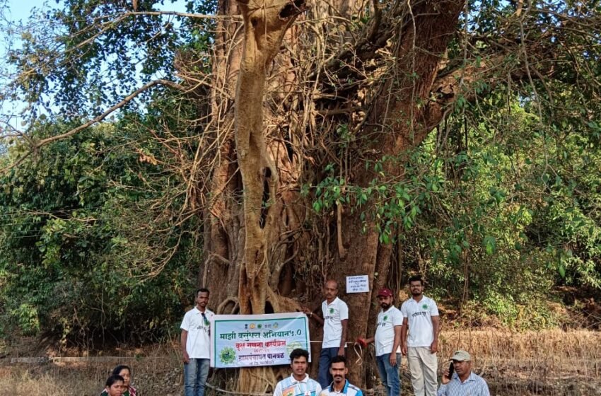  पानवळात पुरातन वृक्षांचे होणार संवर्धन