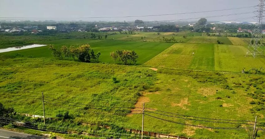 रत्नागिरी, सिंधुदुर्ग जिल्ह्याला इस्टेट एजंटचा विळखा