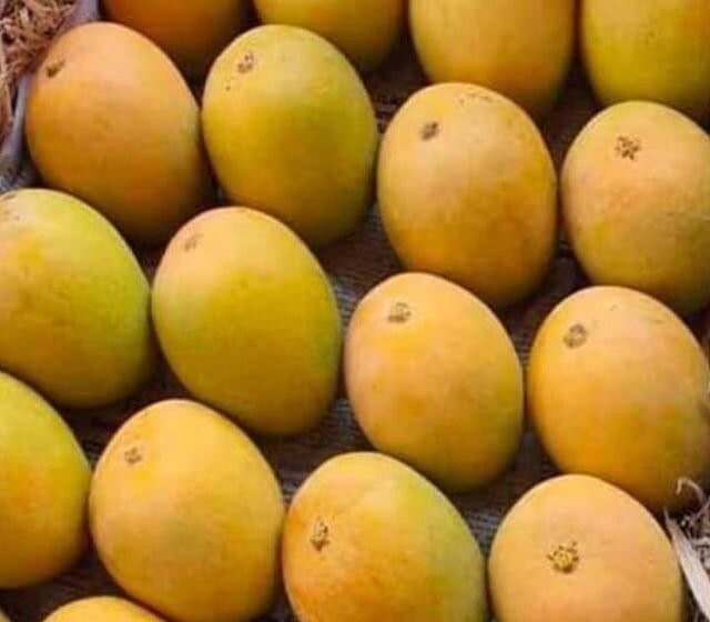 आंबडसच्या तरुणाचा पैसे उकळण्याचा नवा फंडा