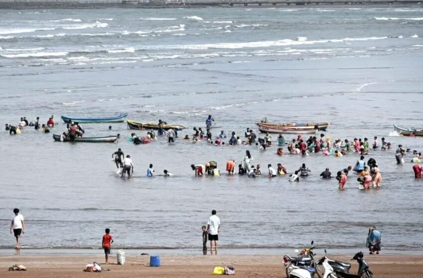  भाट्ये किनार्‍यावर चायनिज शिंपल्यांचा महापूर