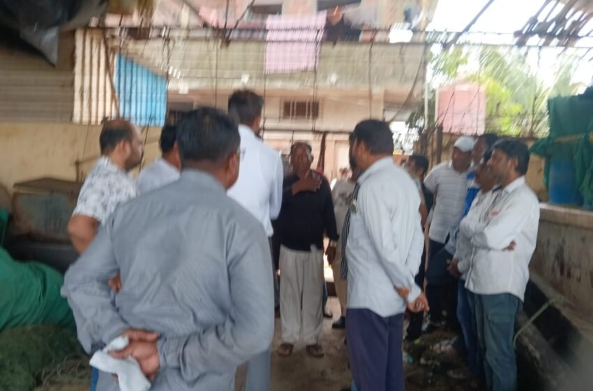  राजीवडा मासेविक्रत्यांना शेडमध्ये जागा द्या