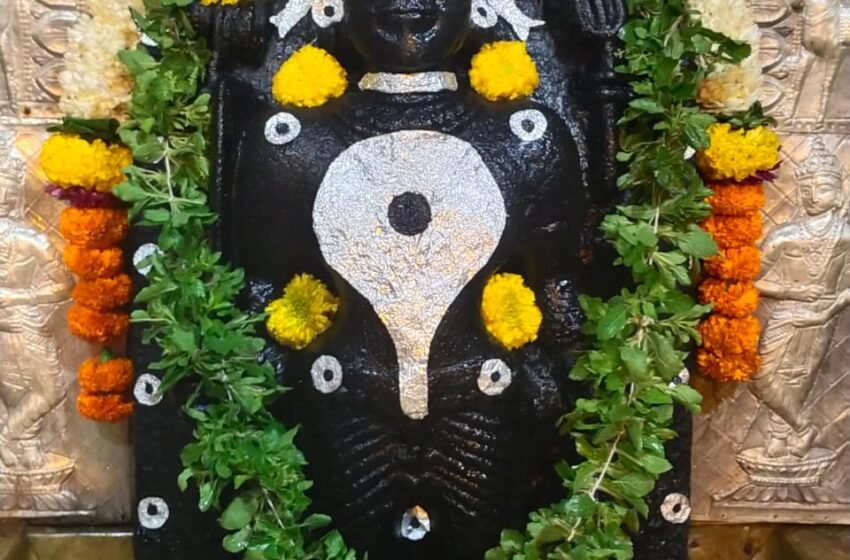  पालीच्या लक्ष्मीपल्लीनाथ मंदिरात आज पासून धार्मिक कार्यक्रम