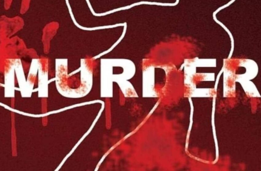  दापोलीत भावाने केला भावाचा खून