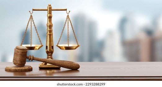  काकी-काकाचा खून प्रकरणी आरोपीला जिल्हाबंदीच्या अटीसह जामीन मंजूर