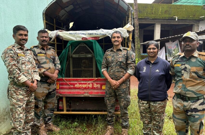  कुत्र्याचा पाठलाग करताना बिबट्या बाथरूममध्ये अडकला