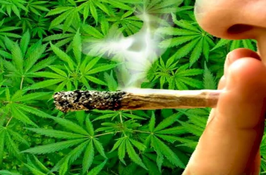  गांजाचे सेवन करणाऱ्या तरुणाविरुद्ध गुन्हा