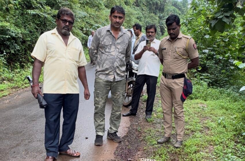  असुर्डे येथे अज्ञात वाहनाच्या धडकेत बिबट्याचा बछडा ठार