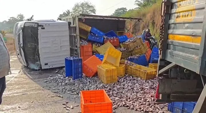  गुहागर-चिपळूण मार्गावर मच्छी वाहतूक करणारा टेम्पो उलटला