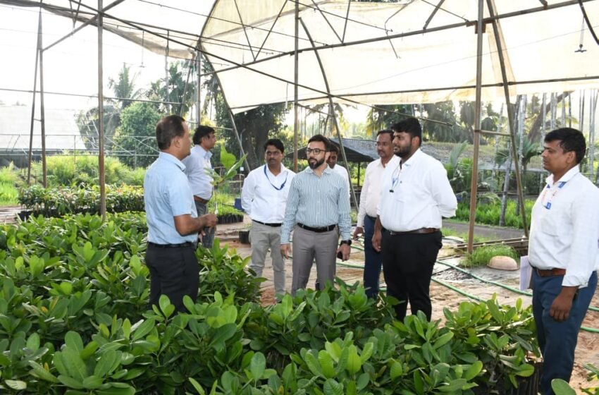  जिल्हा मध्यवर्ती फळरोपवाटिका तथा कृषी चिकित्सालयाला जिल्हाधिकाऱ्यांची भेट