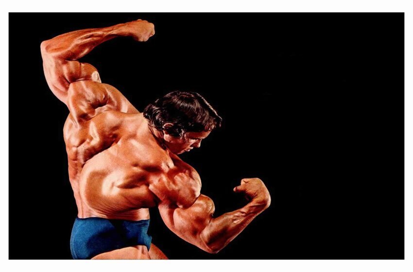  चिपळूणमध्ये २३ जानेवारीला ‘रत्नागिरी श्री’ जिल्हास्तरीय शरीरसौष्ठव स्पर्धेचा थरार; ५२ हजारांची रोख पारितोषिके