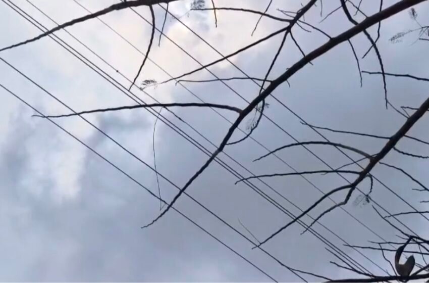  कोकण किनारपट्टीवर ढगाळ हवामान, आंबा बागायतदार चिंतेत