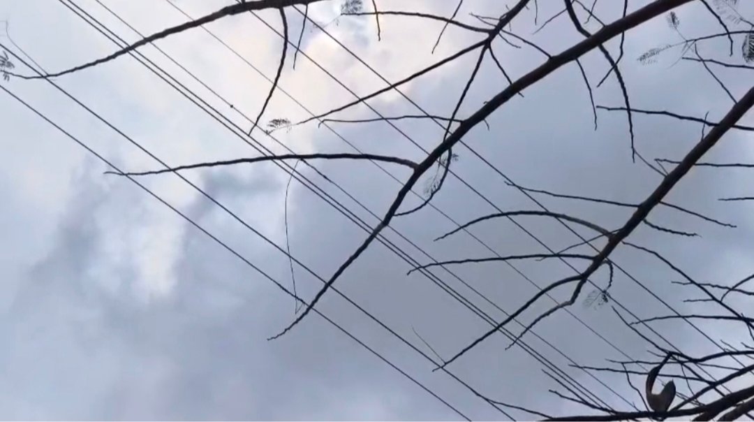 कोकण किनारपट्टीवर ढगाळ हवामान, आंबा बागायतदार चिंतेत