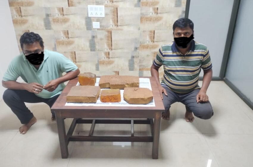  साडेदहा किलो ‘अंबरग्रिस’ जप्त; दोन संशयितांना अटक