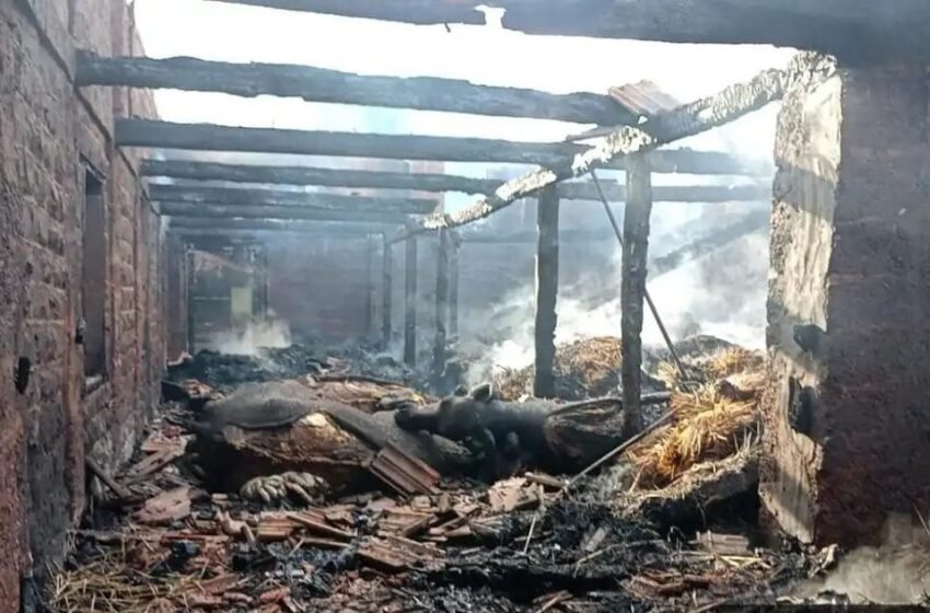  खेड रजवेल मोहल्ल्यात भीषण आग; गोठ्यातील २५ जनावरांचा होरपळून मृत्यू