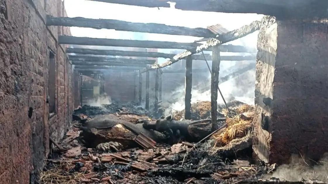 खेड रजवेल मोहल्ल्यात भीषण आग; गोठ्यातील २५ जनावरांचा होरपळून मृत्यू
