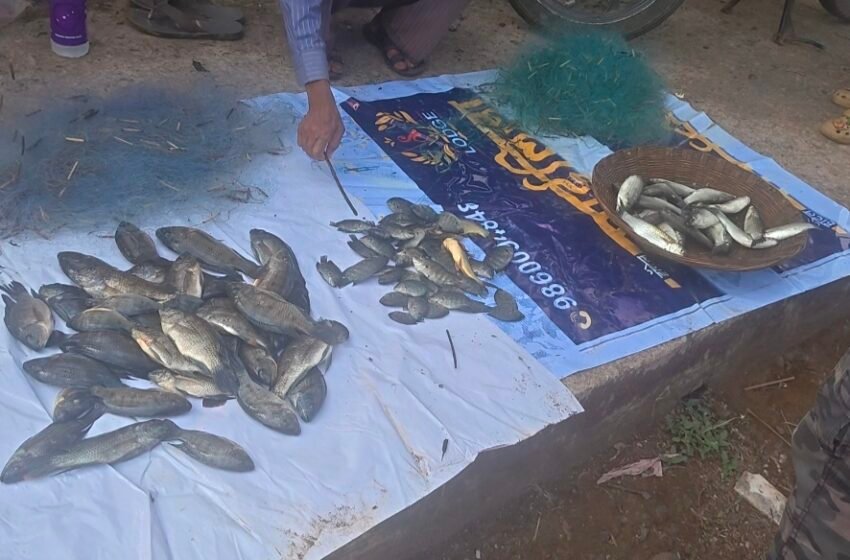  समुद्रातील मासेमारी बंद झ़ाल्याने खाडीतील मासळीला मागणी