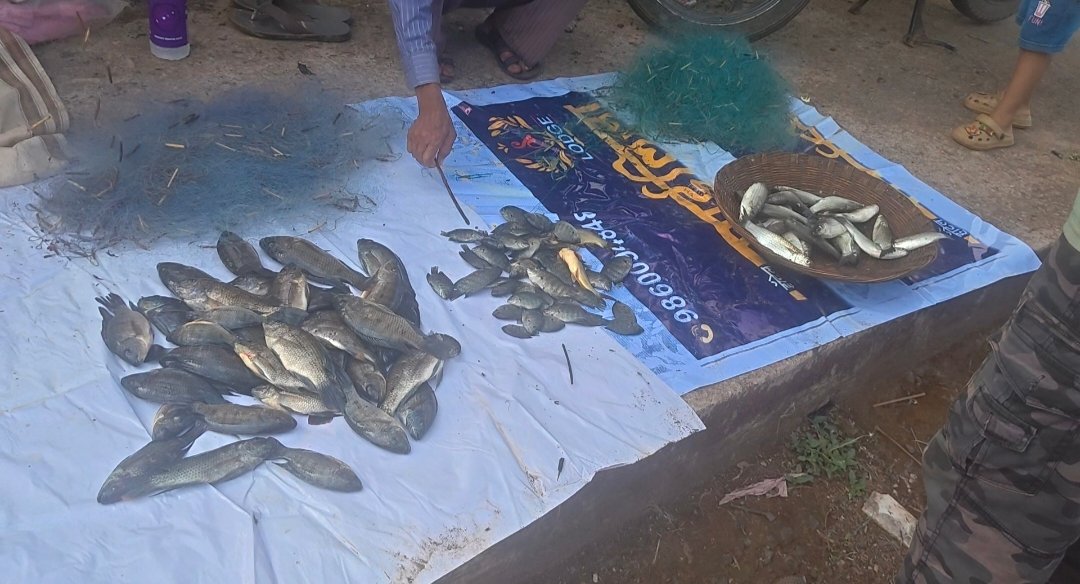 समुद्रातील मासेमारी बंद झ़ाल्याने खाडीतील मासळीला मागणी