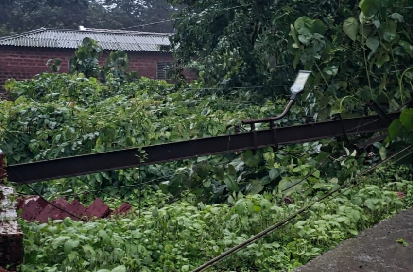  मुसळधार पावसाचा तडाखा: सैतवडे येथे चार वीज खांब कोसळले; मुख्य रस्ते बंद, परिसर अंधारात