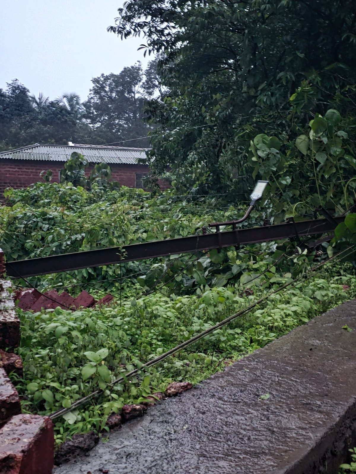 मुसळधार पावसाचा तडाखा: सैतवडे येथे चार वीज खांब कोसळले; मुख्य रस्ते बंद, परिसर अंधारात
