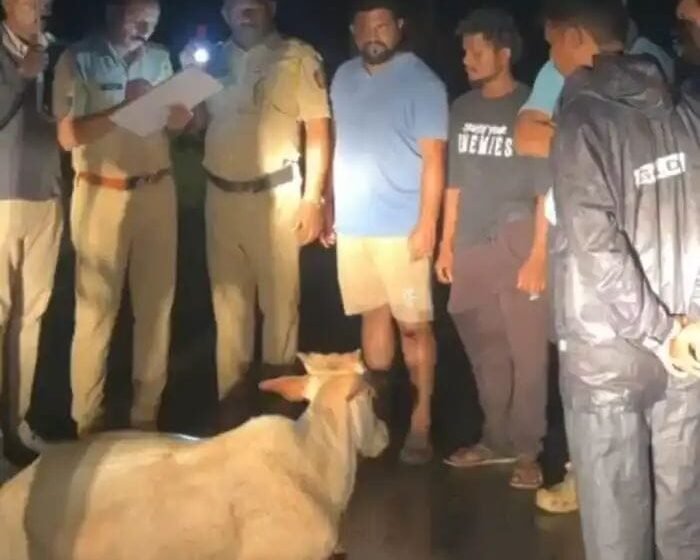  बारा गुरांना बेशुद्ध करून तस्करीचा प्रयत्न